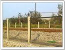 Wire Mesh Fencing 